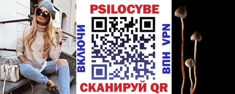 Псилоцибиновые грибы мицелий  Вышний Волочёк 